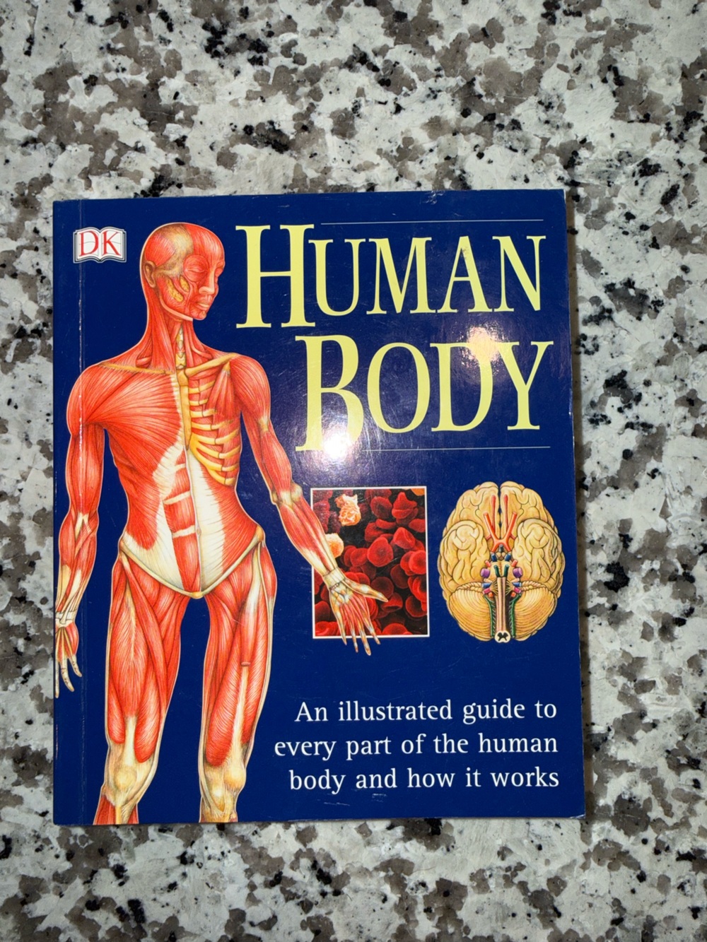 Human Body Illustrated Guide - Blue Cover